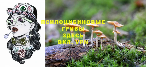 гашиш Нея