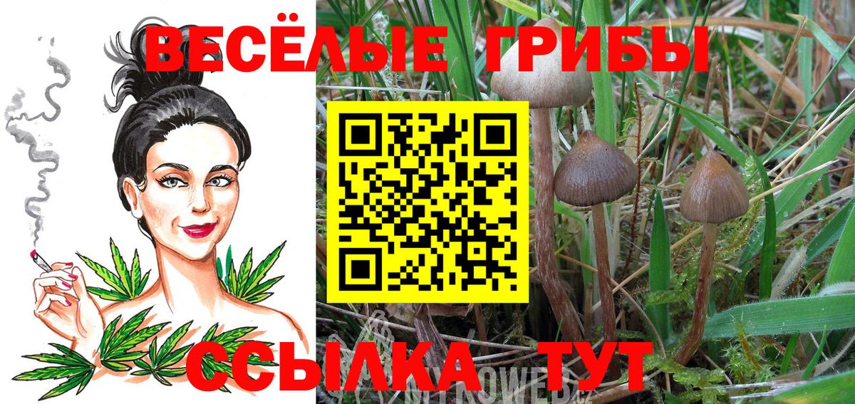 Прокопьевск  где купить наркоту  Вход с VPN  Галлюциногенные грибы Psilocybine cubensis  Псилоцибиновые грибы Psilocybe 