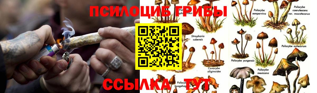 Псилоцибиновые грибы мицелий Прокопьевск